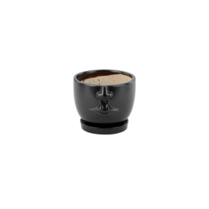 LARGE FACE PLANTER