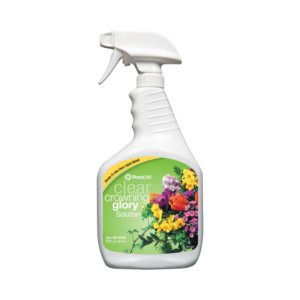 CROWNING GLORY CLEAR 32OZ SPRAY