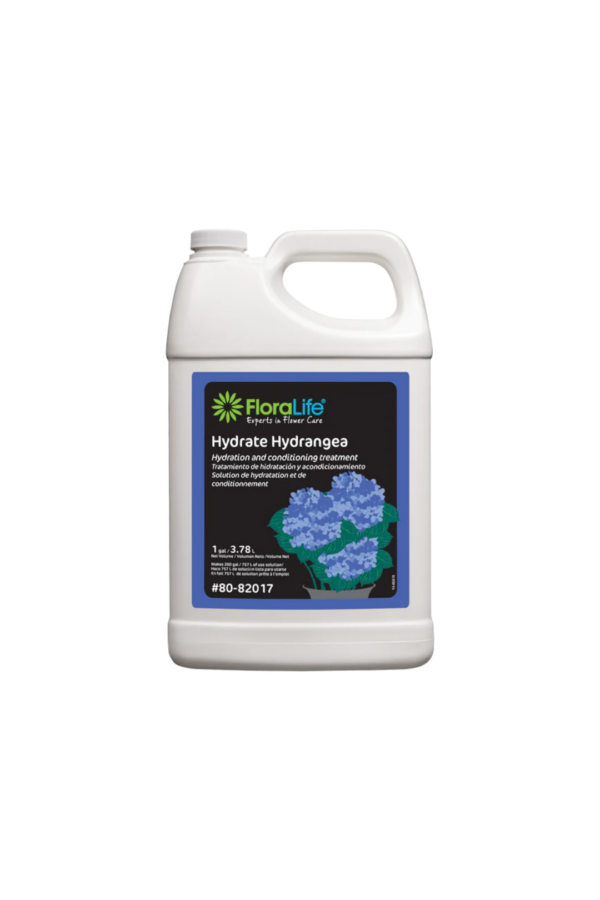 Hydrate Hydrangea 1 Gallon