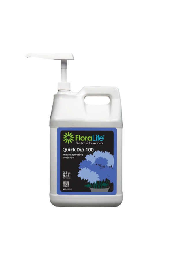 QUICK DIP 2 1/2 GAL WITH PUMP