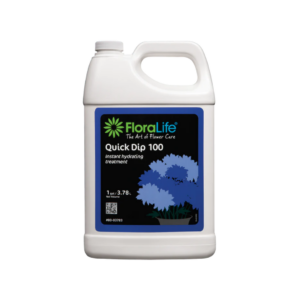 QUICK DIP 1 GALLON
