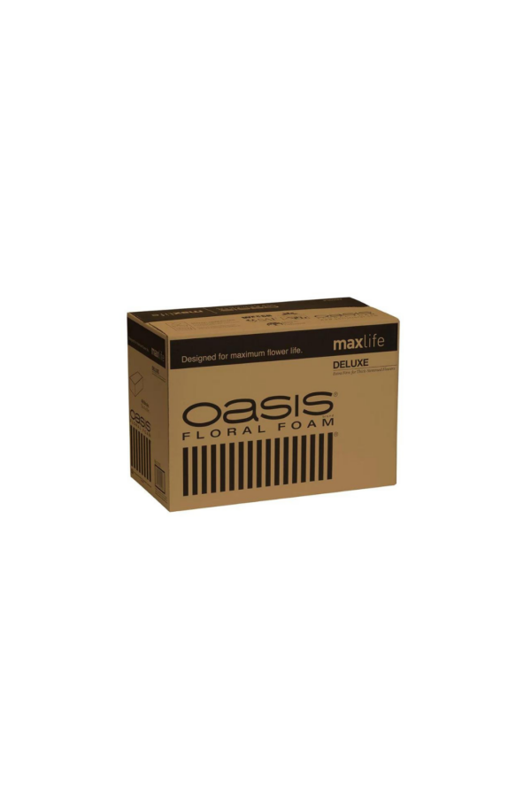 DELUXE FLORAL FOAM CS. 48