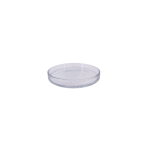 RENOIR BASE 7.75" X 1"