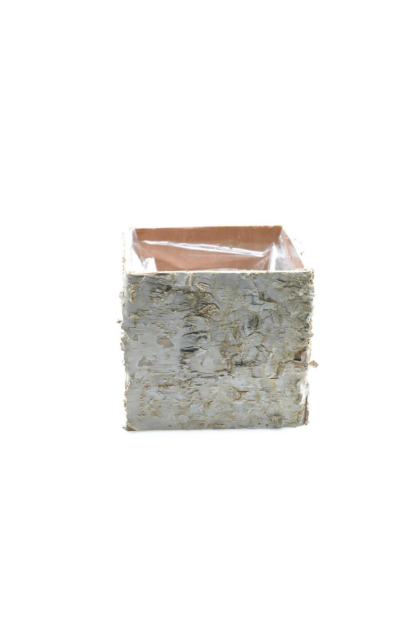 BIRCH SQUARE POTS 4.75" LIGHT