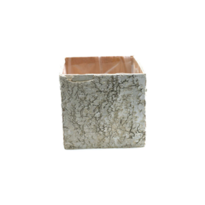 BIRCH SQUARE POTS 5.5"