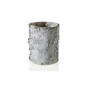 BIRCH CYLINDER WHITE 4.75" X 6"