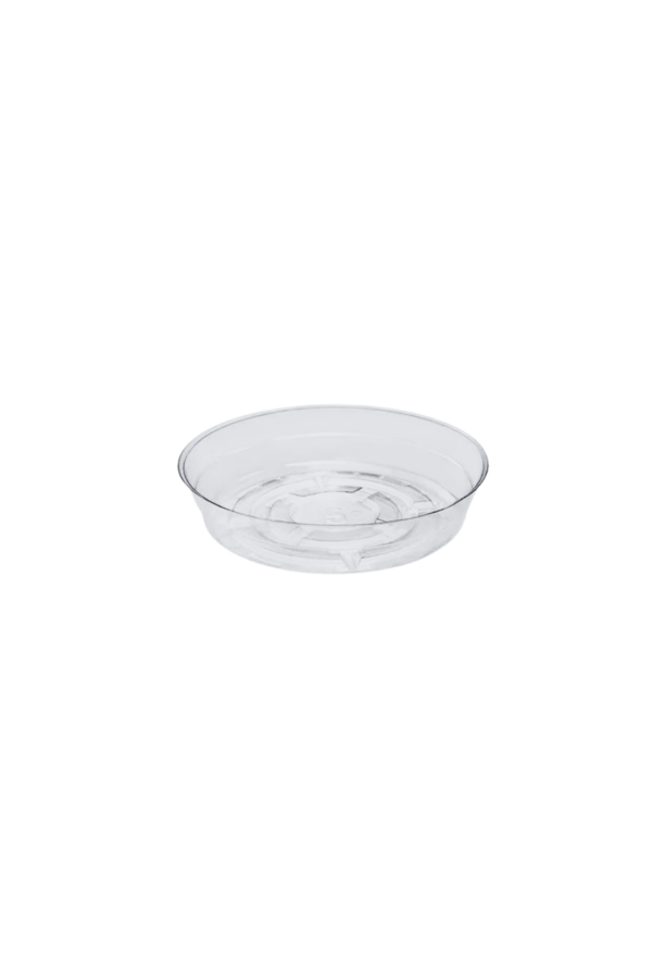 SAUCER 5" CLEAR
