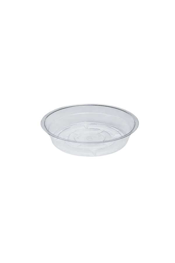 SAUCER 6" CLEAR