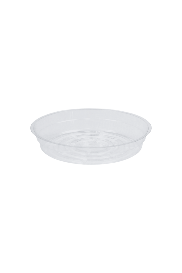 SAUCER 7" CLEAR