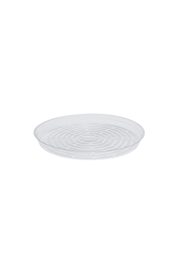 SAUCER 8" CLEAR