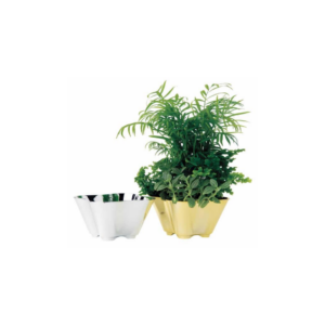 GOLD SQUARE DISH GARDEN 4.25", 6.25"X6.25"OPENING (PLASTIC)