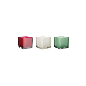 4X4X4 SQUARE VASE MISTLETOE FROST ASST