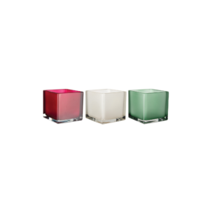 5X5X5 SQUARE VASE MISTLETOE FROST ASST