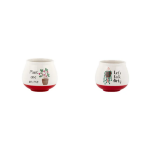 2AST WITTY VDAY POT